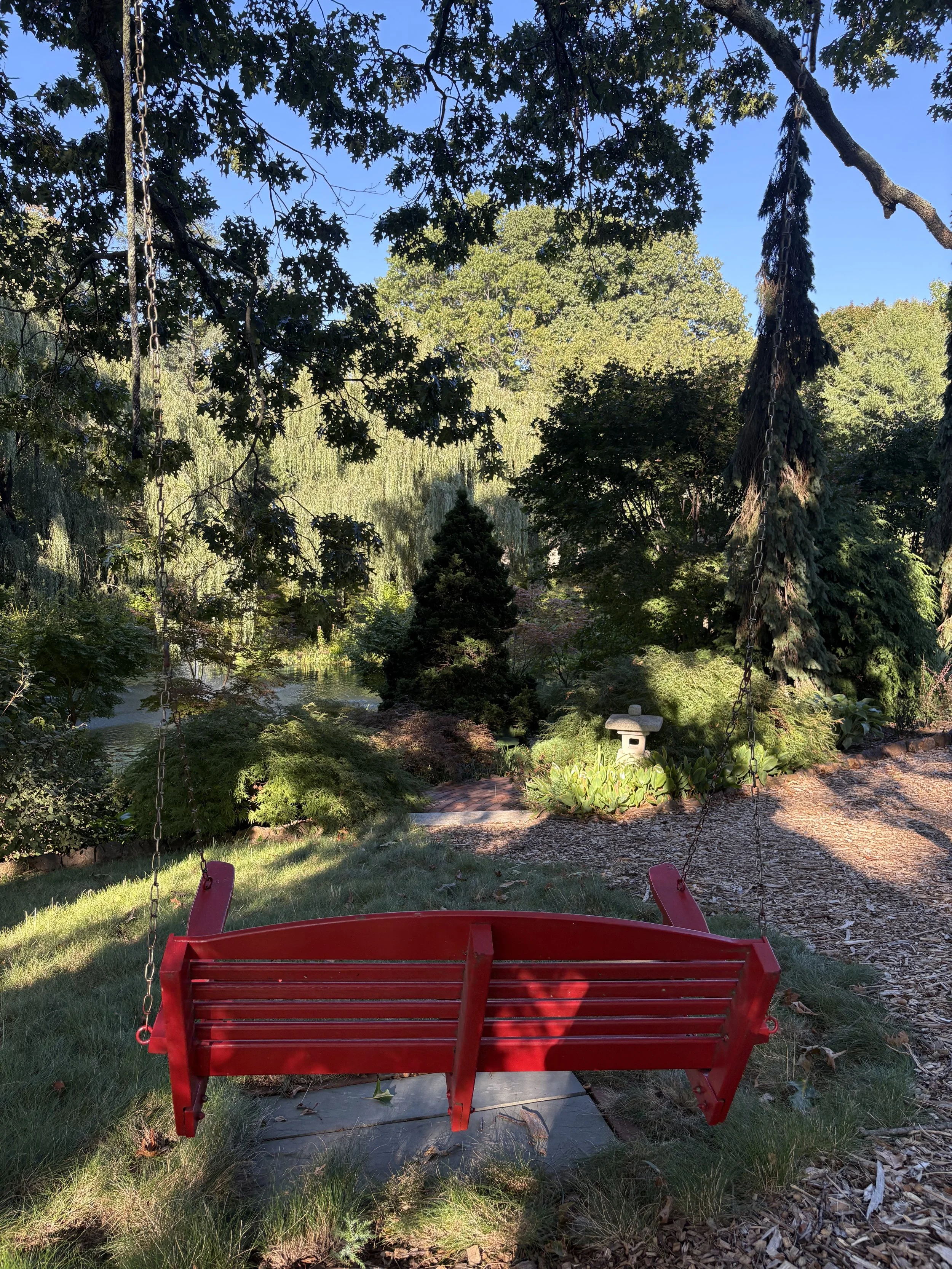 IMG_8208.jpeg