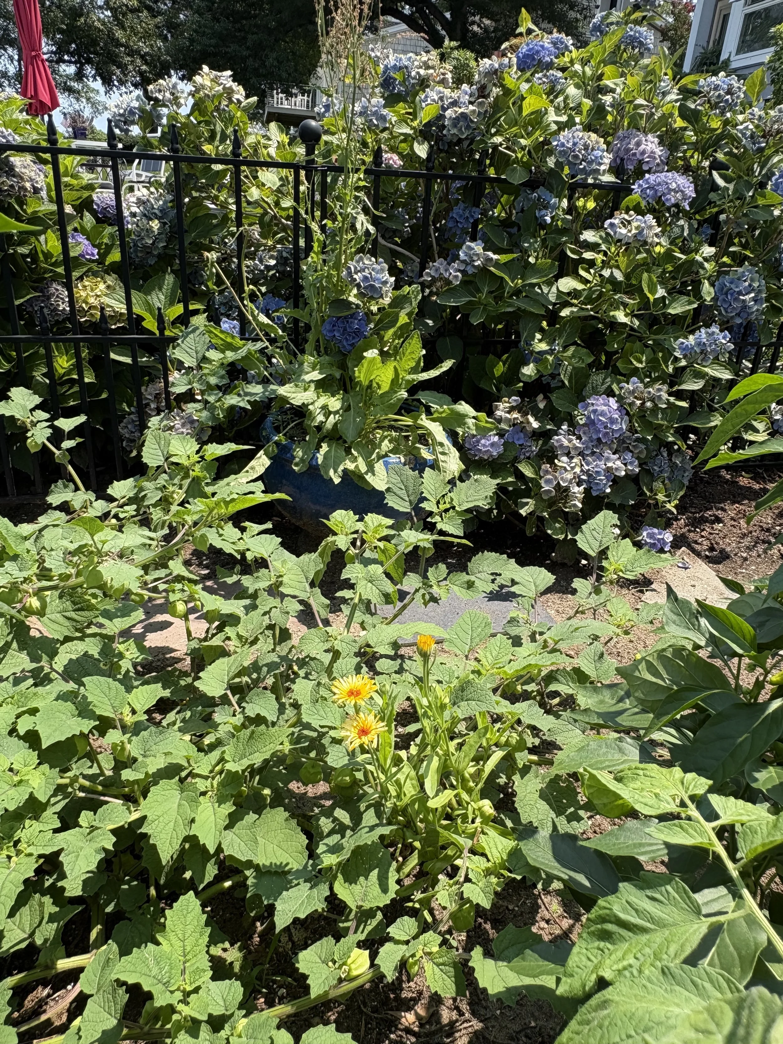 IMG_6993.jpeg