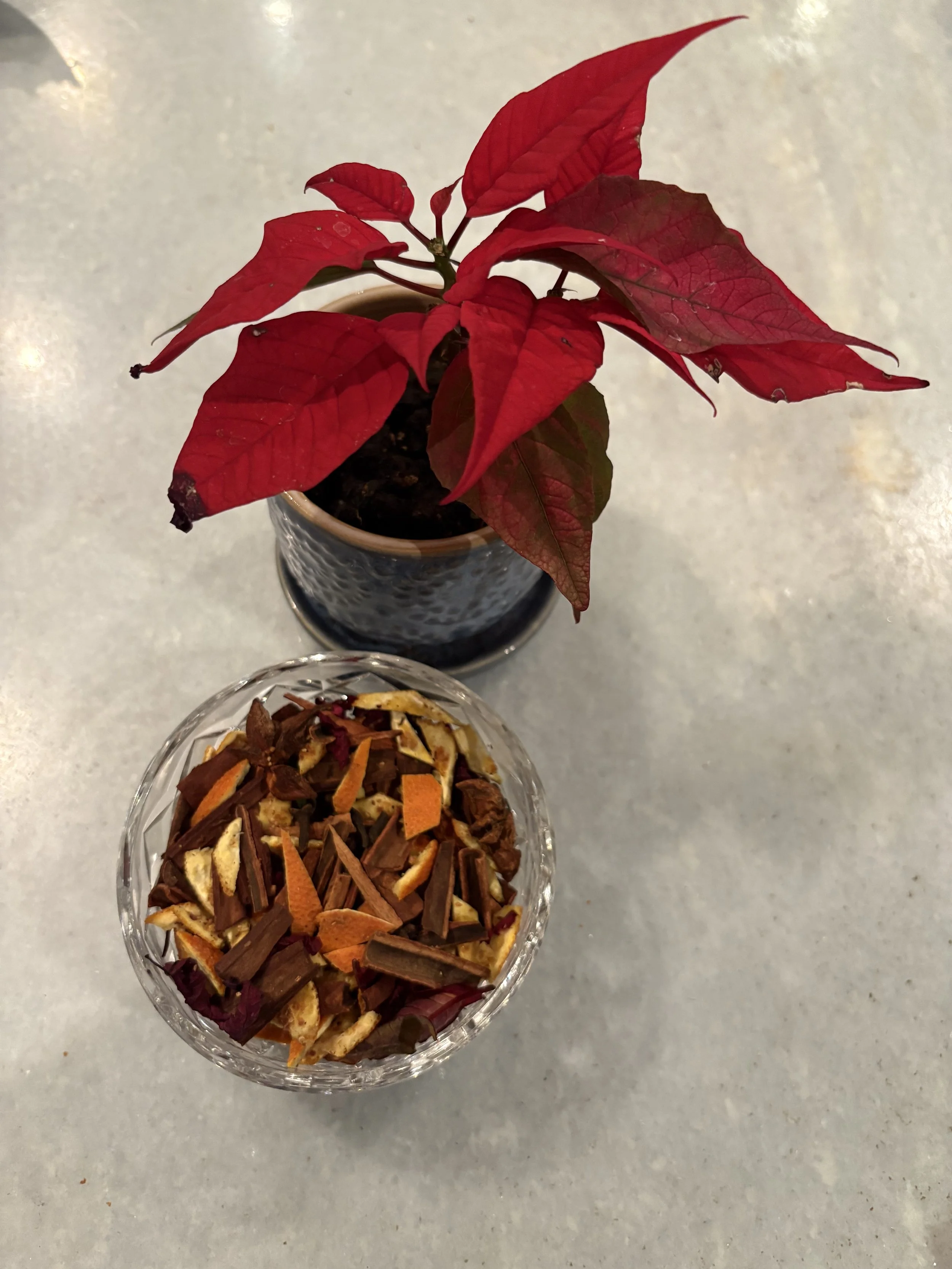 Create a Mood-Boosting Scentscape for Your Home or Office: Poinsettia Potpourri Recipe