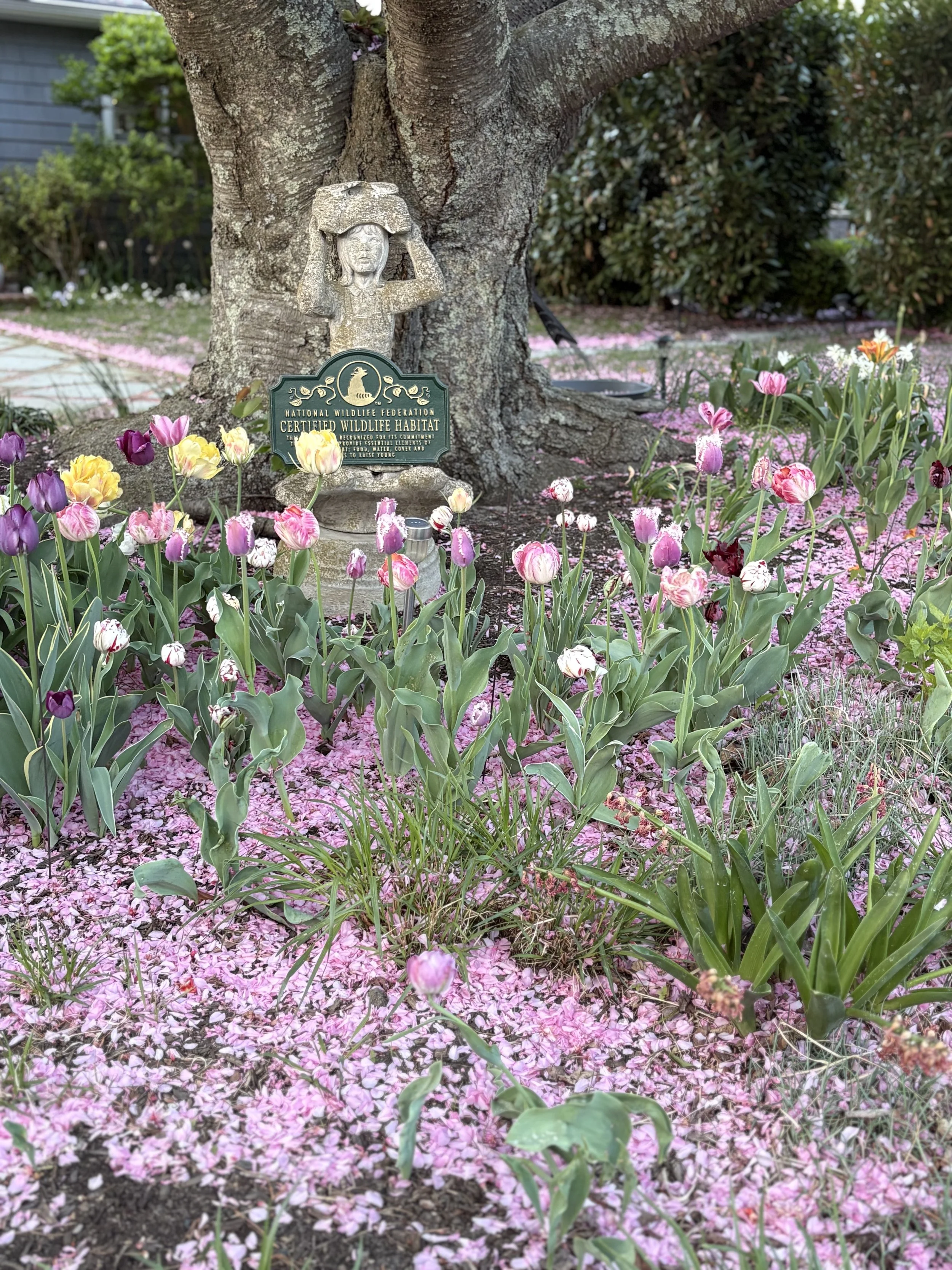 Honor Earth Day With These Top Trending Plants &amp; Sustainable Garden Design Tips