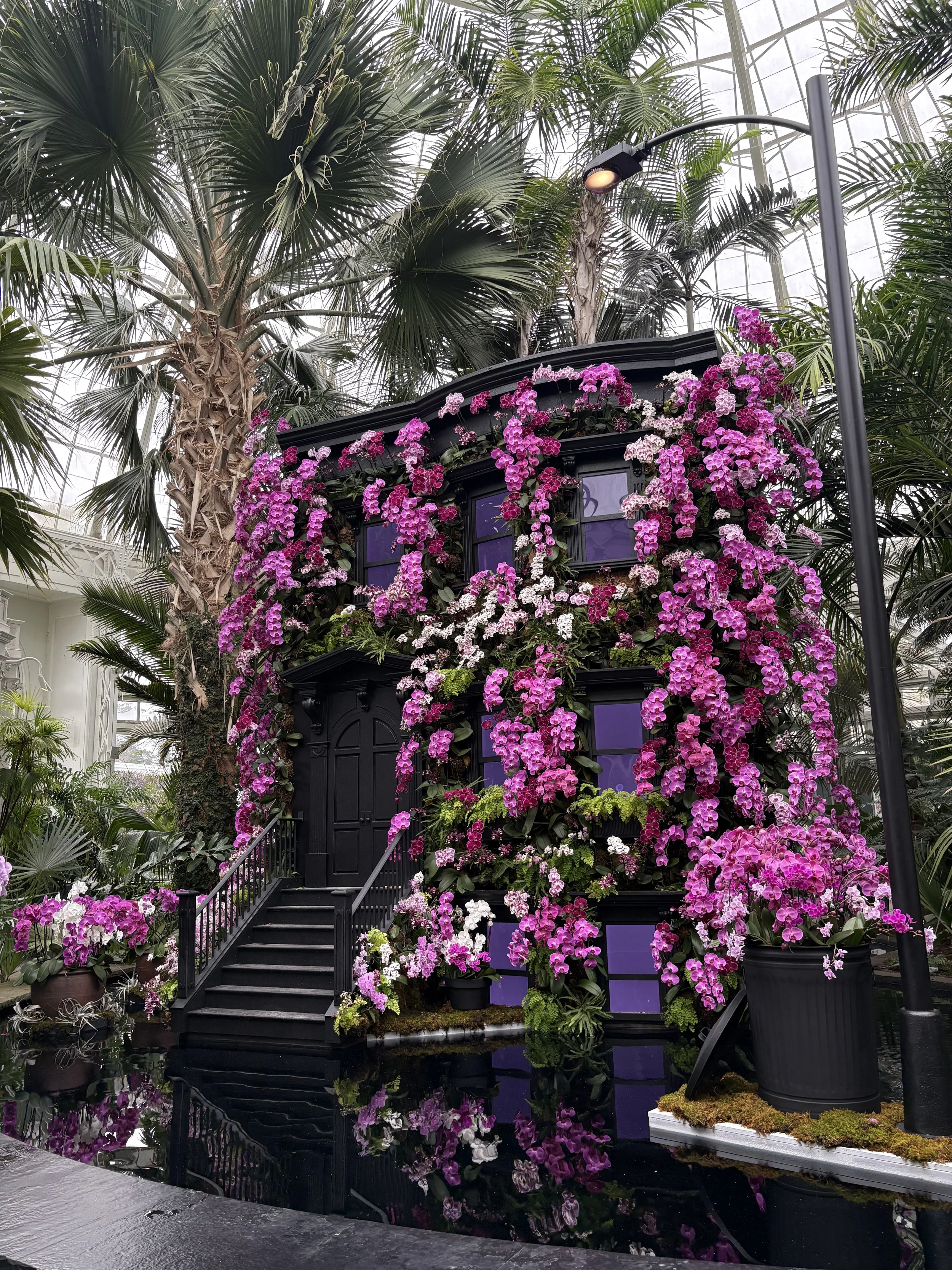 Magical Orchid Experience at NYBG is Ultimate Tour of Gotham! Romantic Orchid Nights Launches Soon