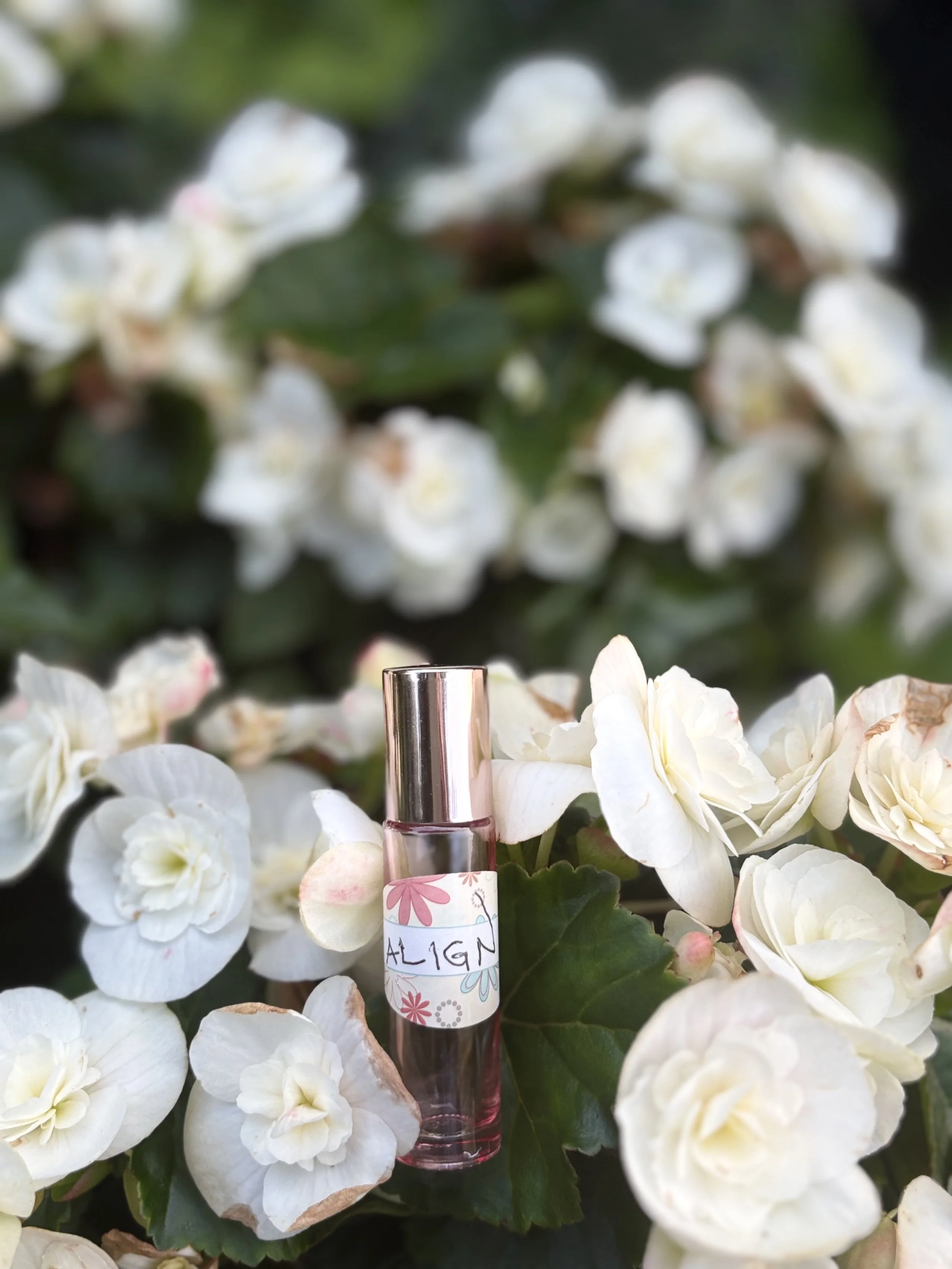 Align Fragrance Sillage Collection