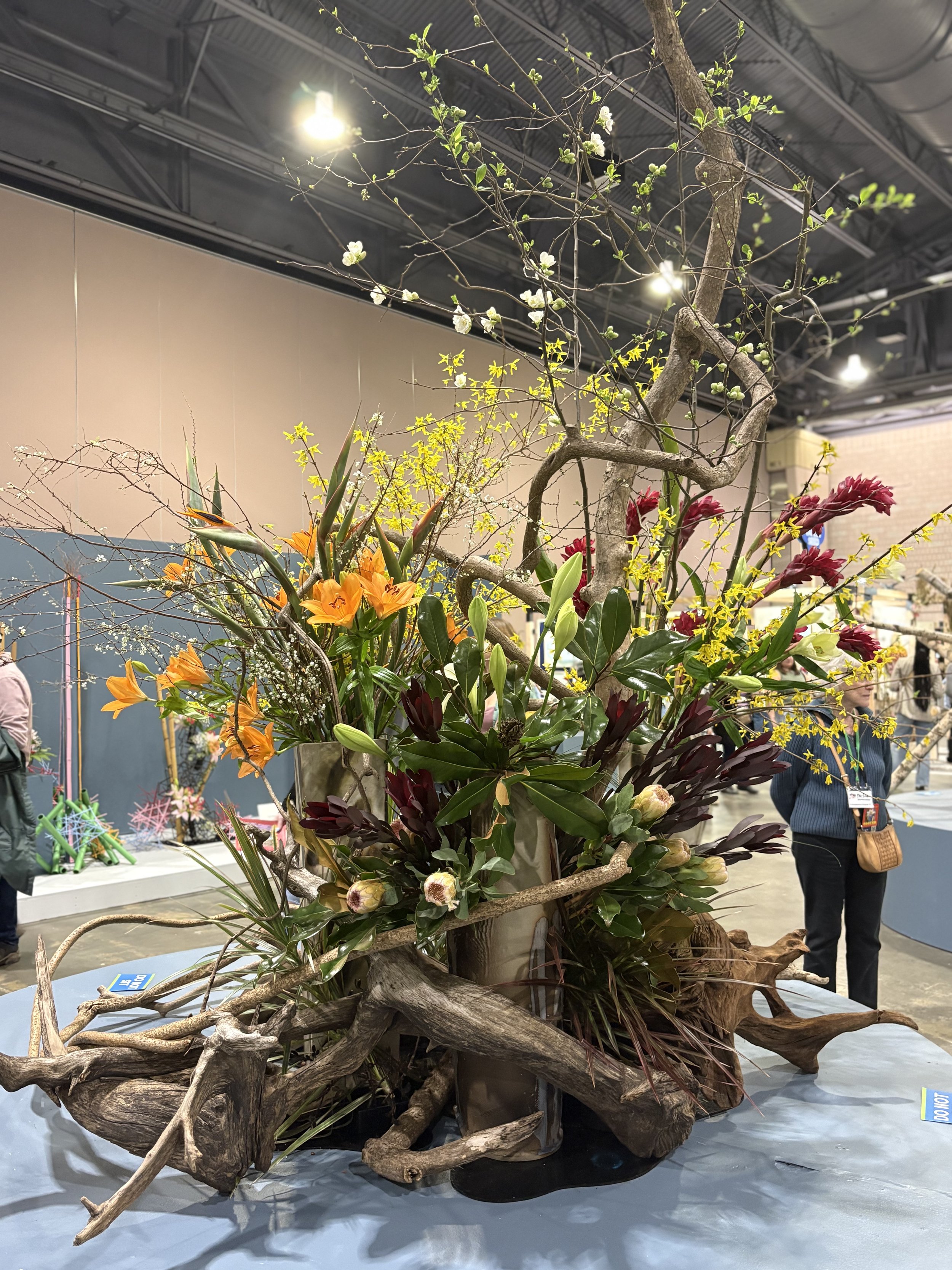 Magical Moments of Botanical Art &amp; Fashion, First Ladies &amp; Their Orchids &amp; Award Winners Dazzle at The Philadelphia Flower Show