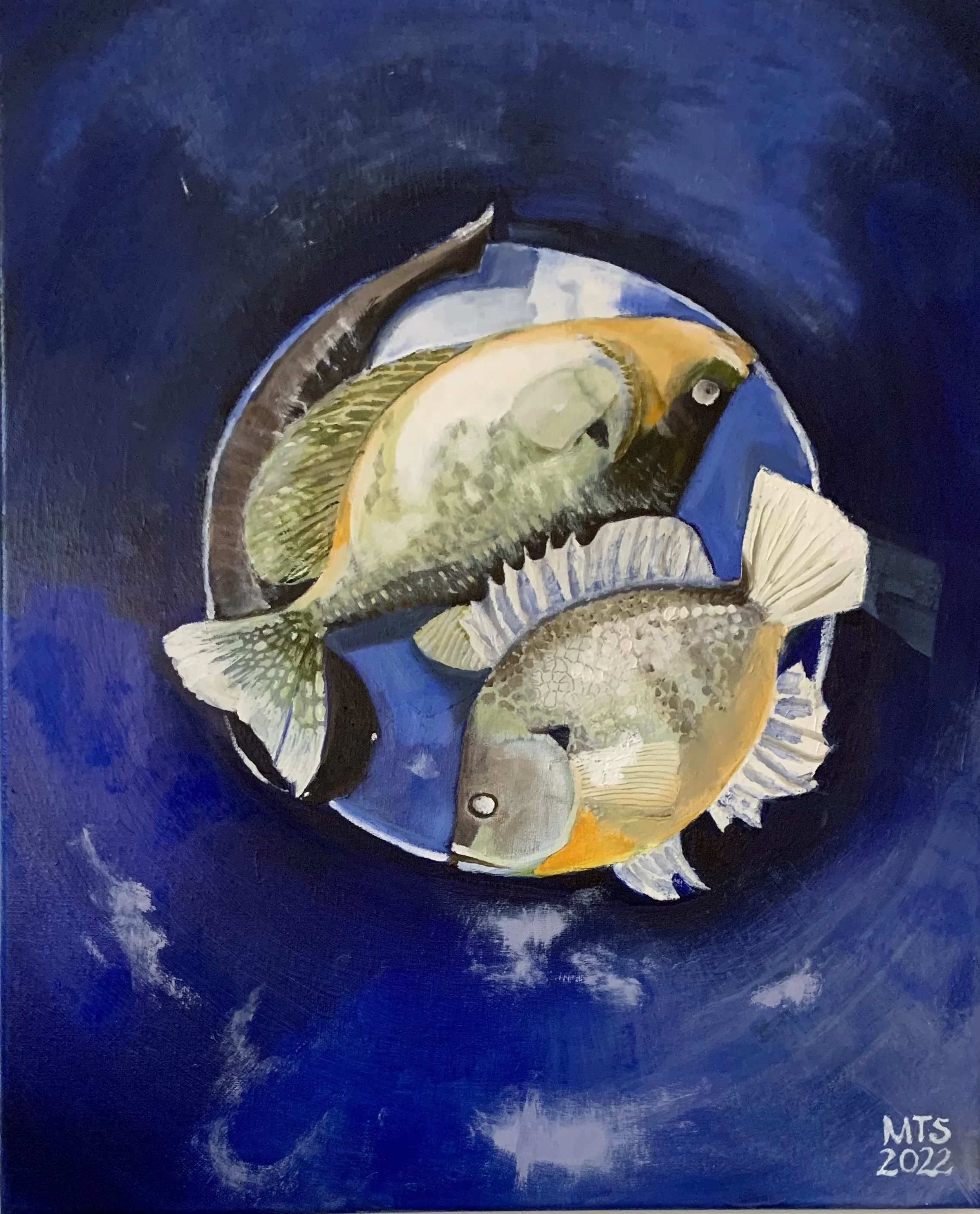 Fish in a Bucket