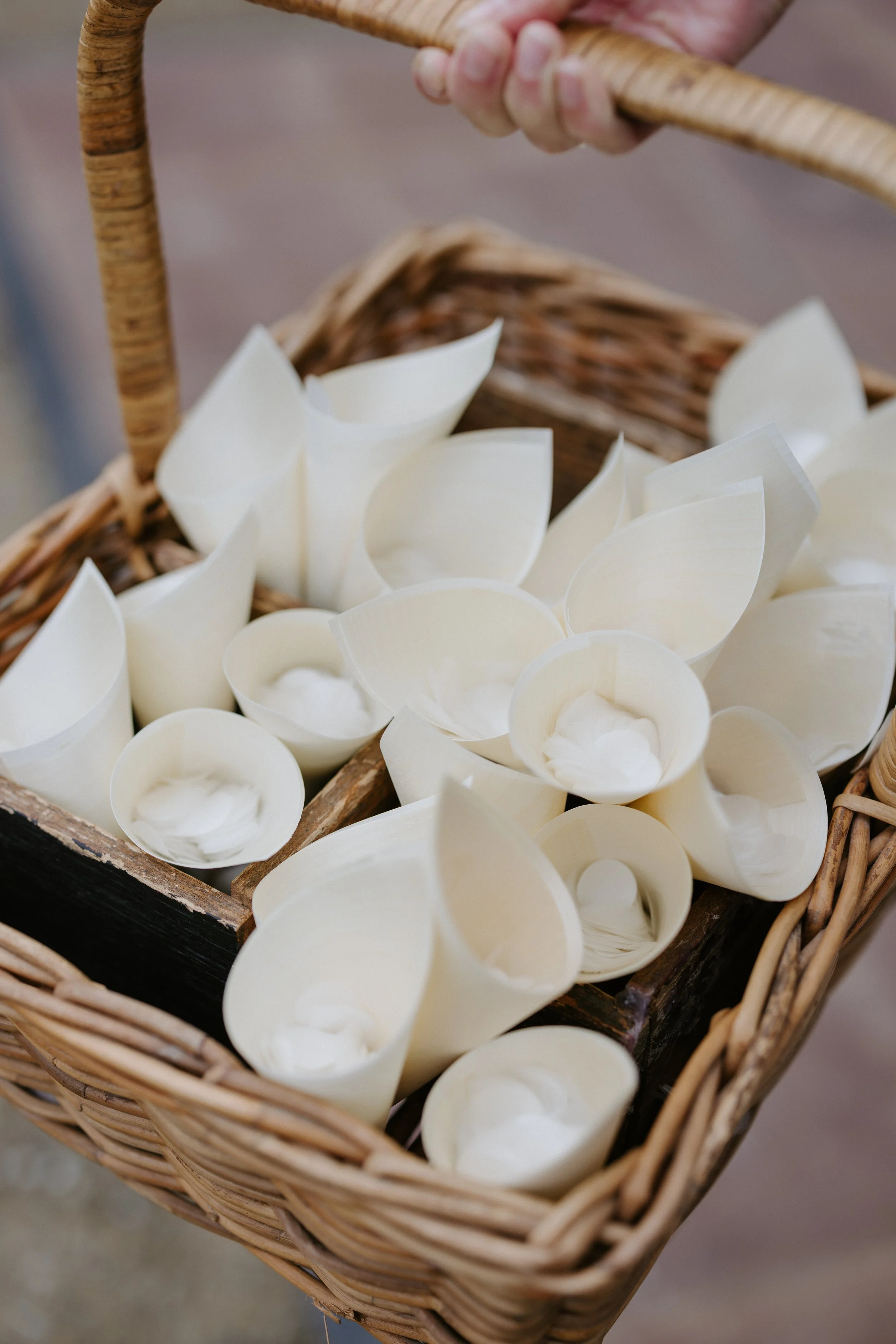 Lauren and Nic-299.jpg