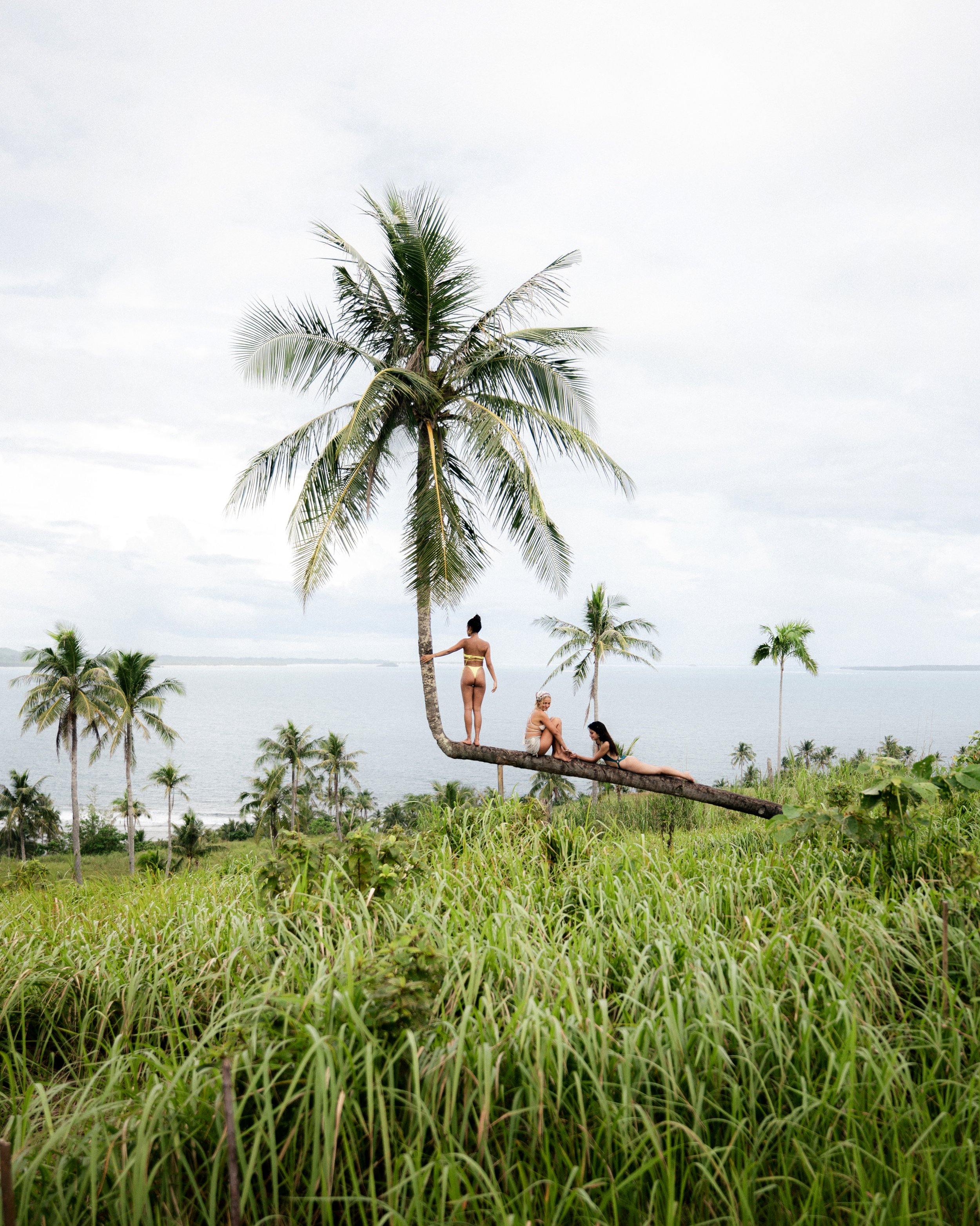 B16A7B2A-B874-4391-A54C-0DAA08D41480 2.JPG