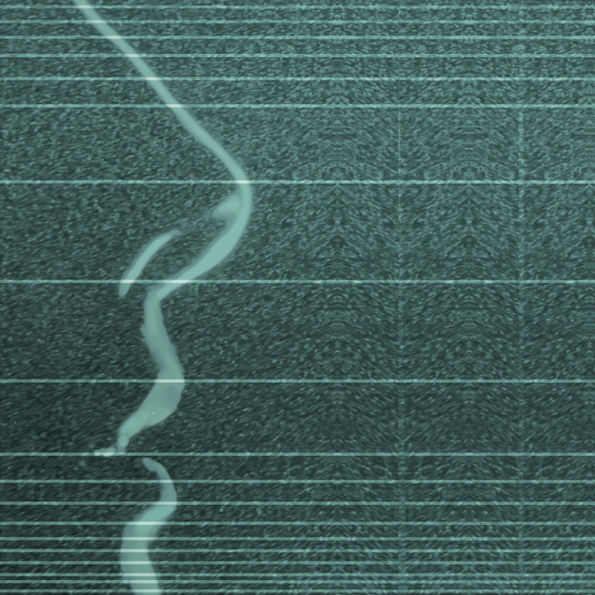 Clear Spring Profile Pic Spotify.png