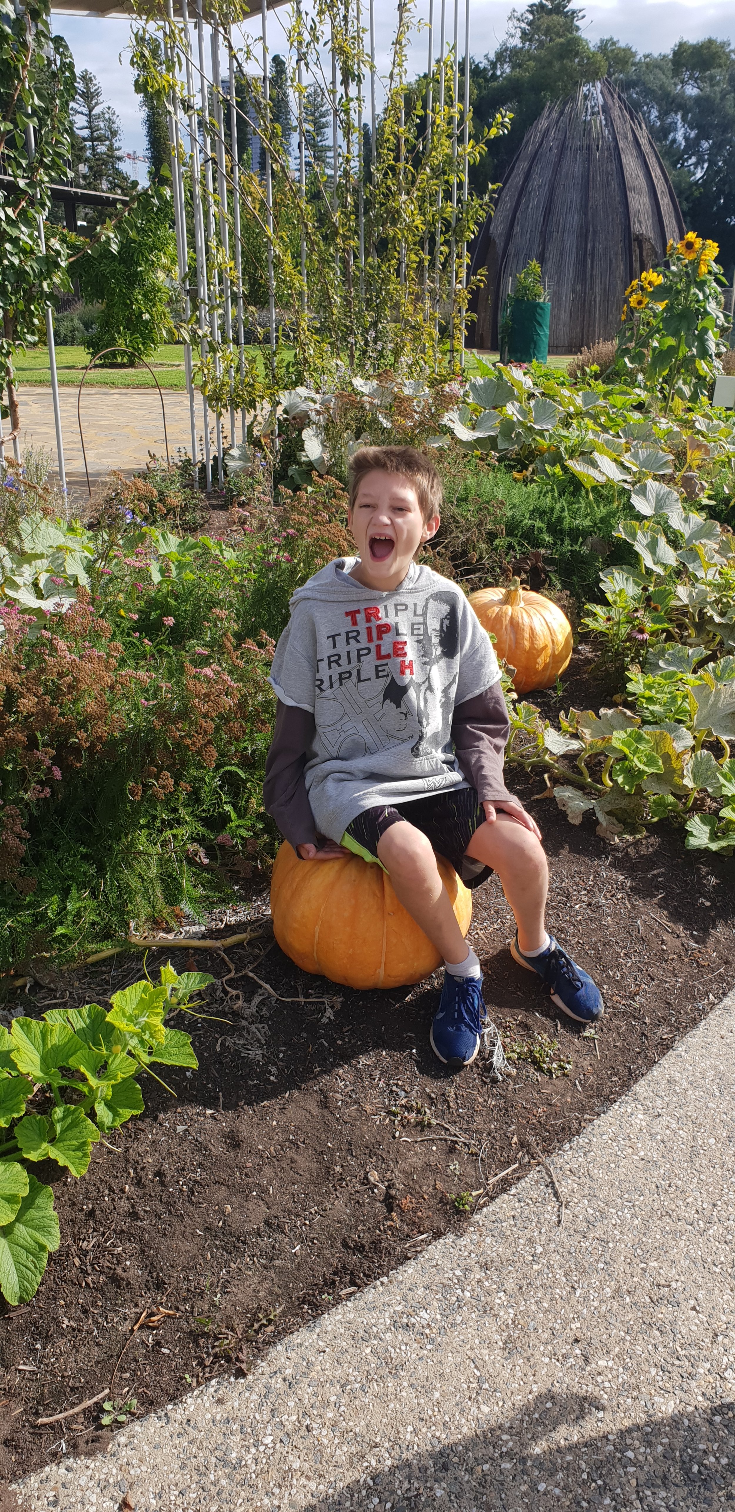 oo9_boyPumpkin_V.jpg