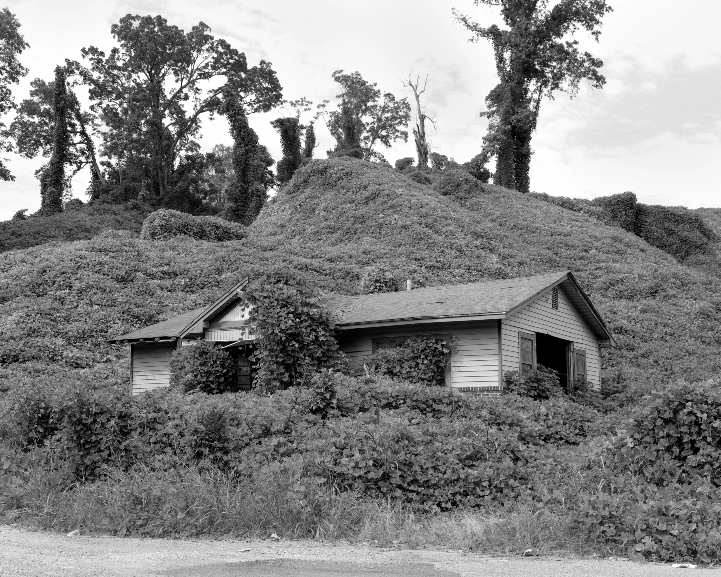 KUDZU_HOUSE_32x40.jpg