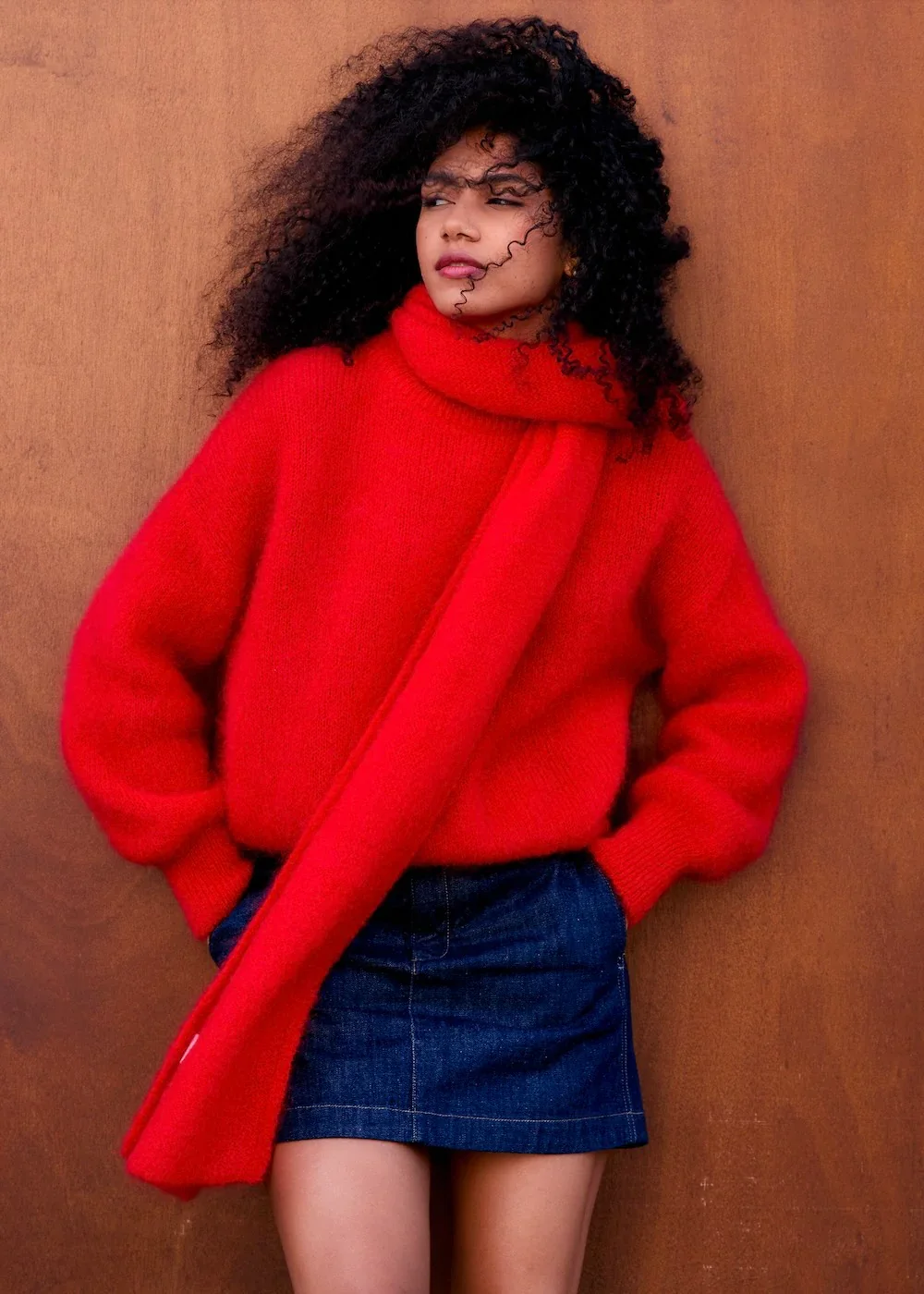 Surprise- Paris Jane Mohair Sweater (Copy)