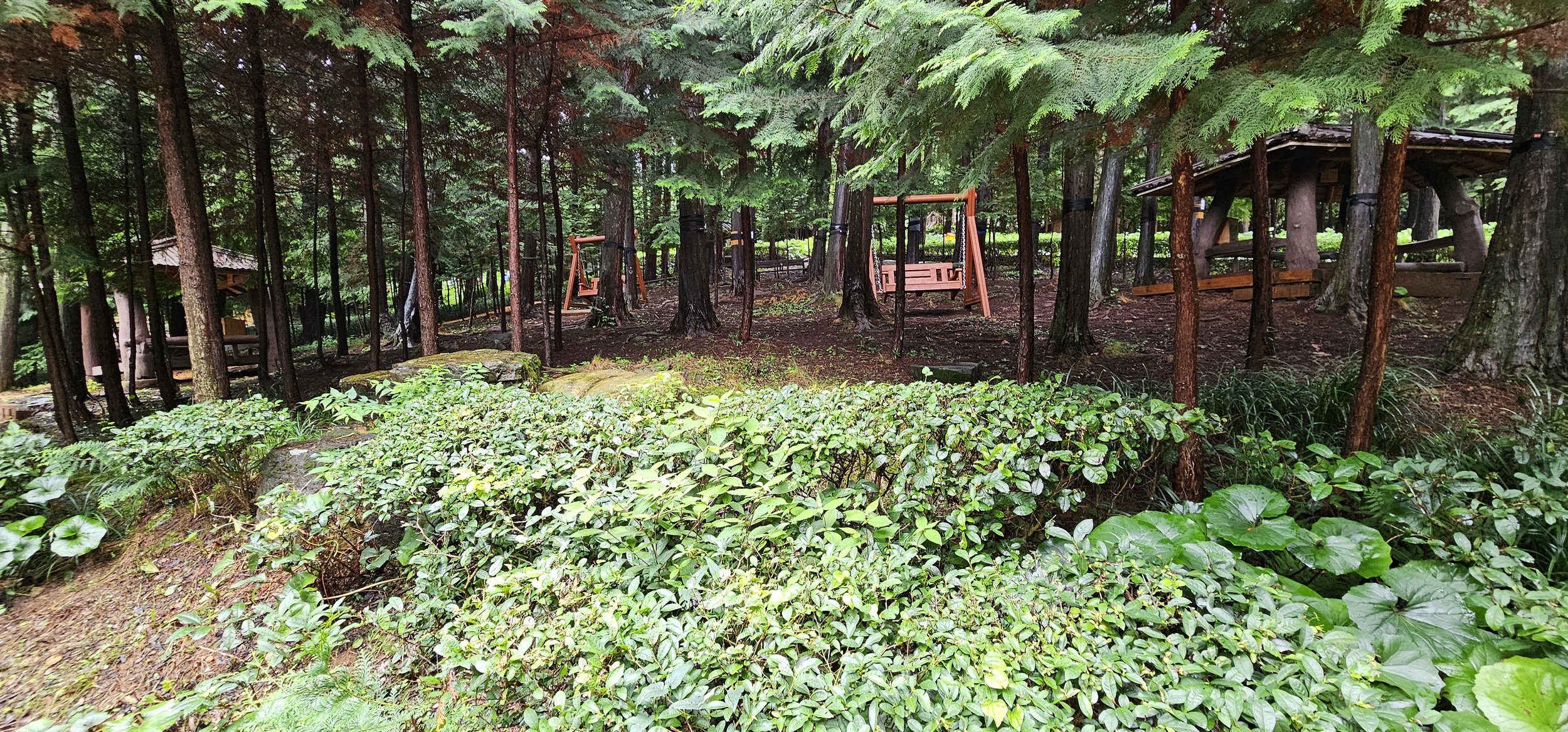 20240719_130103.jpg