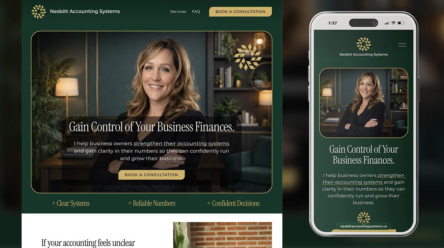 Nesbitt Accounting Systems - Bookkeeping and accounting systems for businesses that need structure and clarity in their finances. 

Created the logo from scratch and built a website that balances professionalism with approachability to help clients b