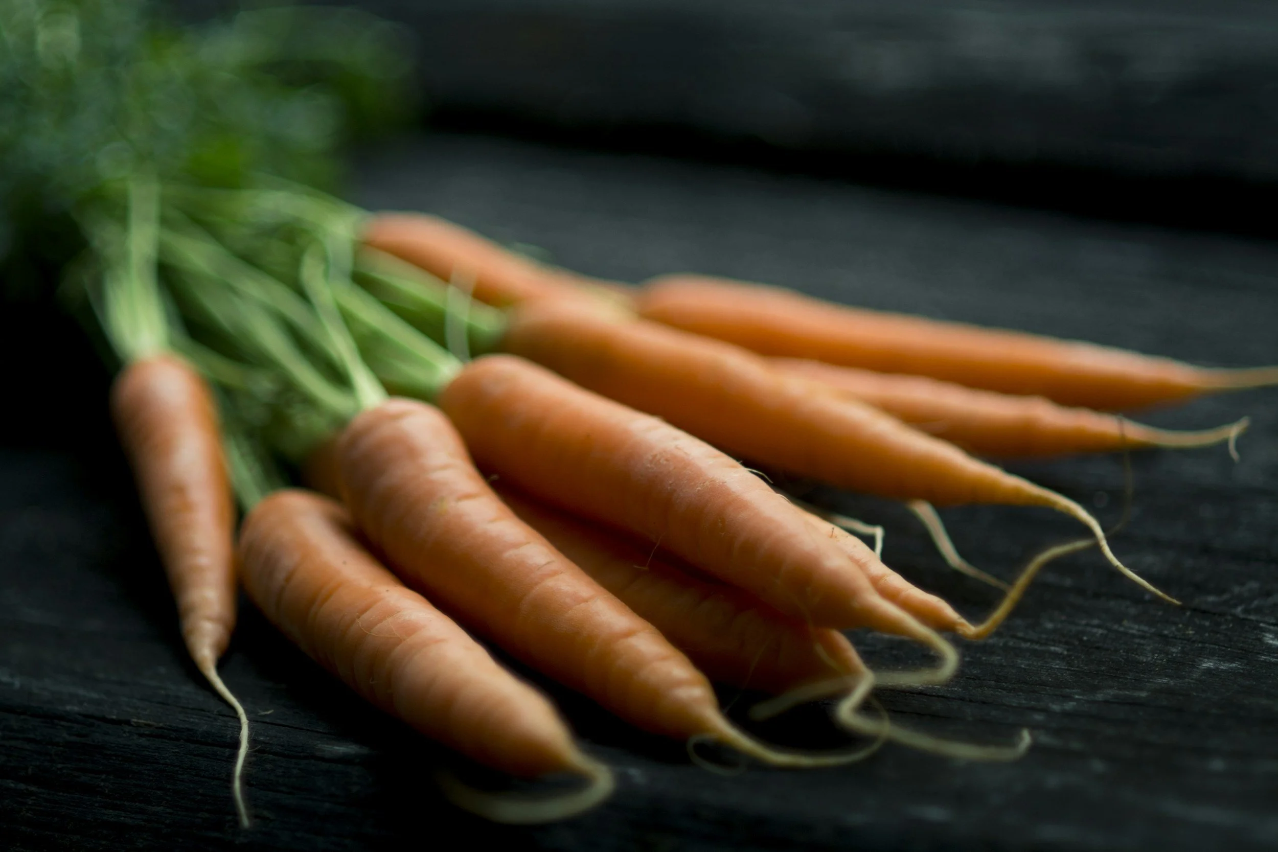 Fresh carrots with green tops on a dark surface