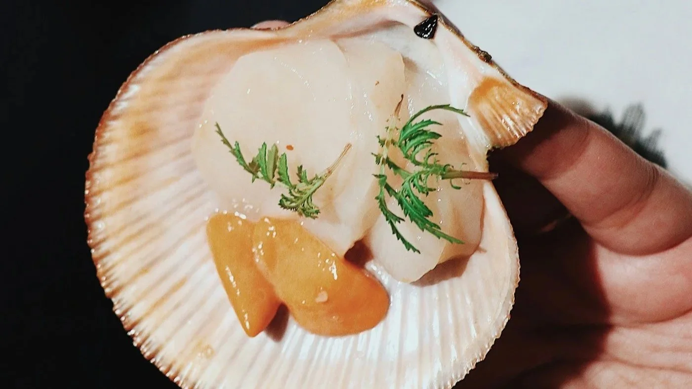 A hand holding an opened scallop shell with raw scallop meat, a small piece of yellow fruit or vegetable, a small brown item, and garnished with a sprig of green herb.
