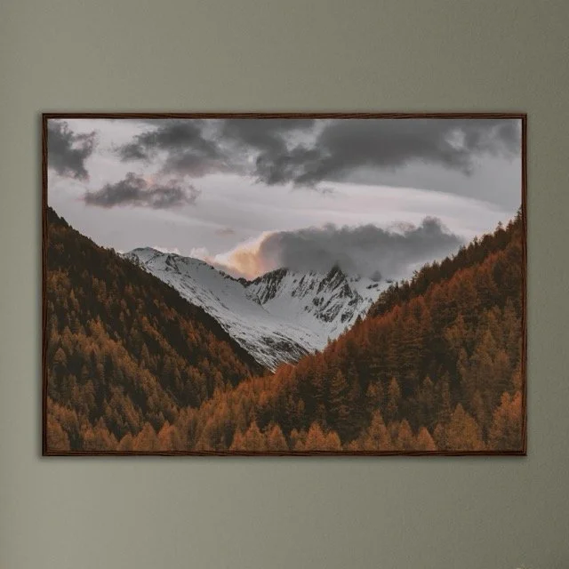 Snowy Wall Framed .jpeg