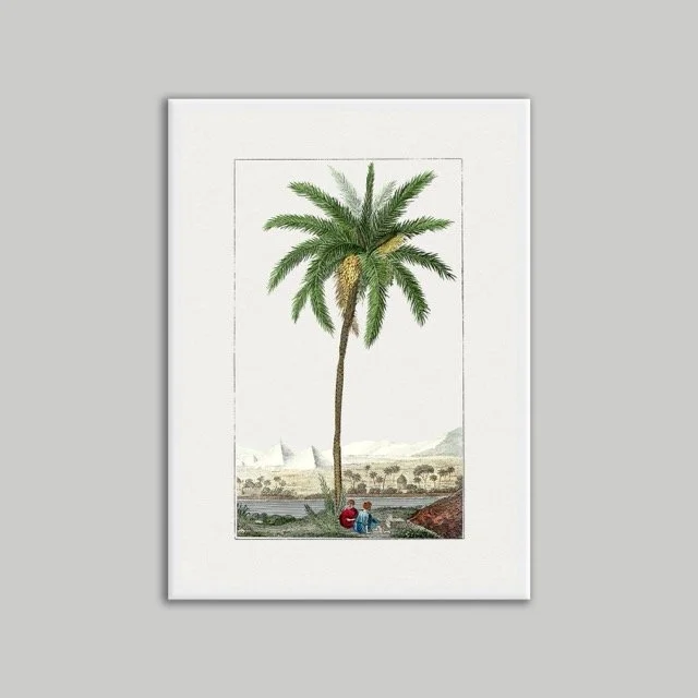 White Framed Poster A3.jpeg