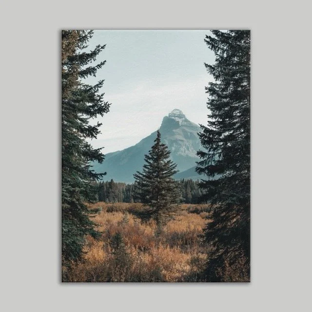 Mountain View Print .jpeg