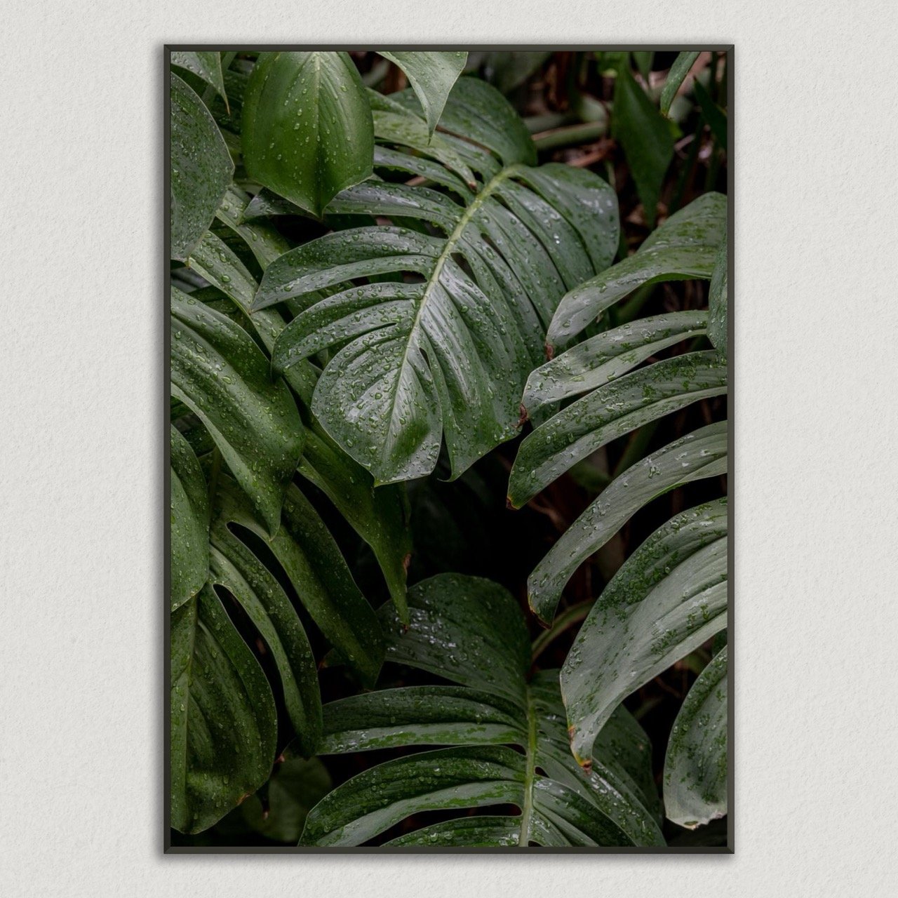 Monsteria Foliage Metal Framed Poster