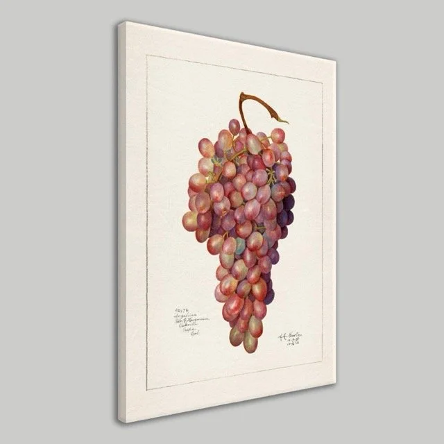 Grape Wall Canvas Print.jpeg