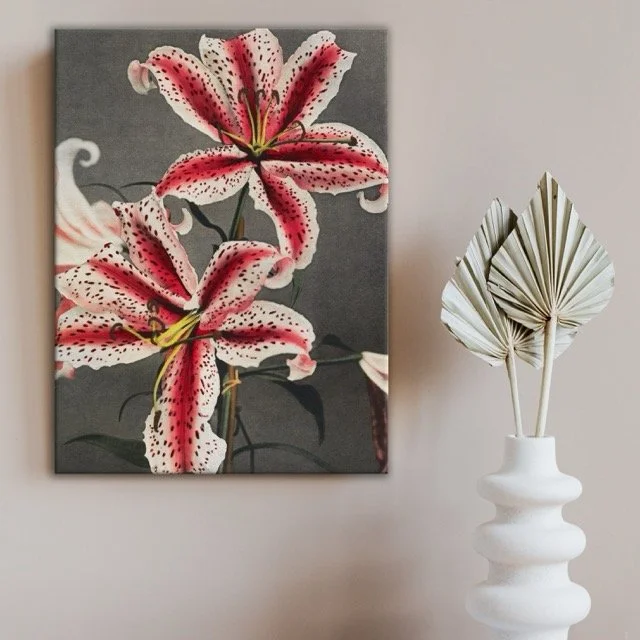 Lilly in Flower Canvas