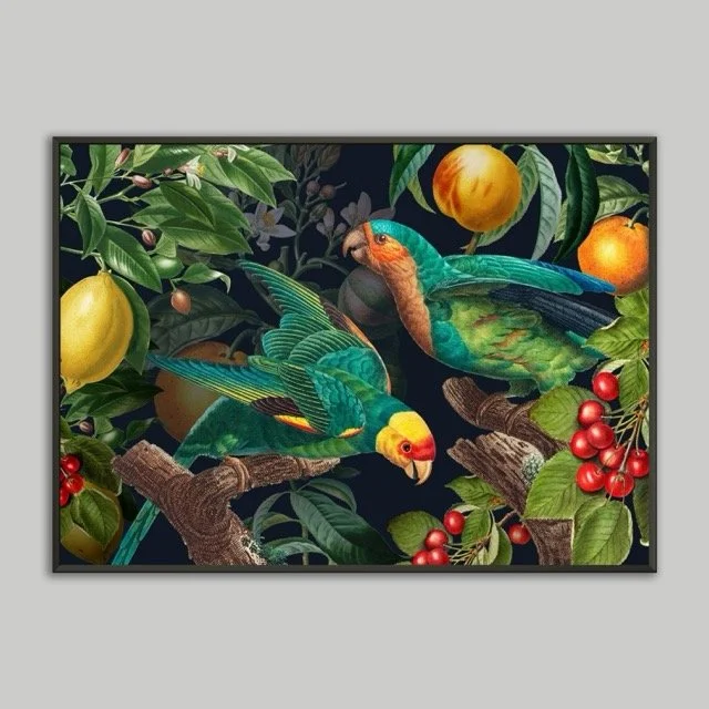 Parrot Metal Framed Poster