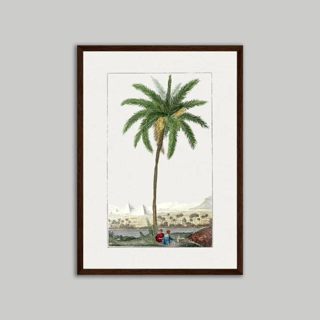 Dark Framed Poster A3.jpeg