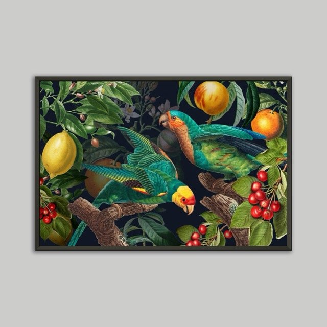 Parrot Poster Print 40x60.jpeg