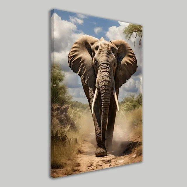Elephant Wall Canvas .jpeg