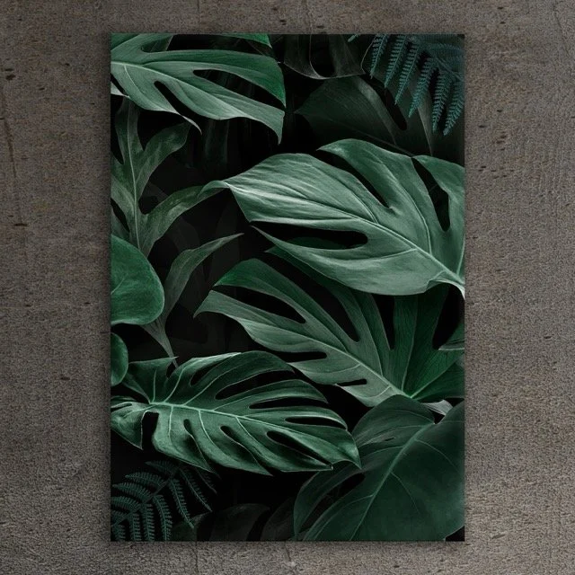 Foliage Plants Stone Wall .jpeg