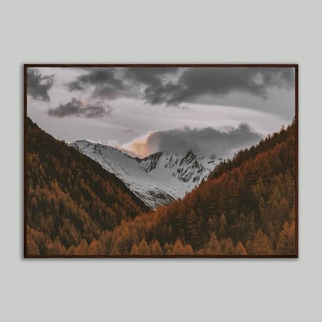 Snowy Brown Print .jpeg