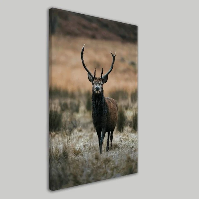 Deer Canvas Wall .jpeg