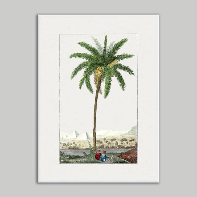 50x70 White Framed Print.jpeg