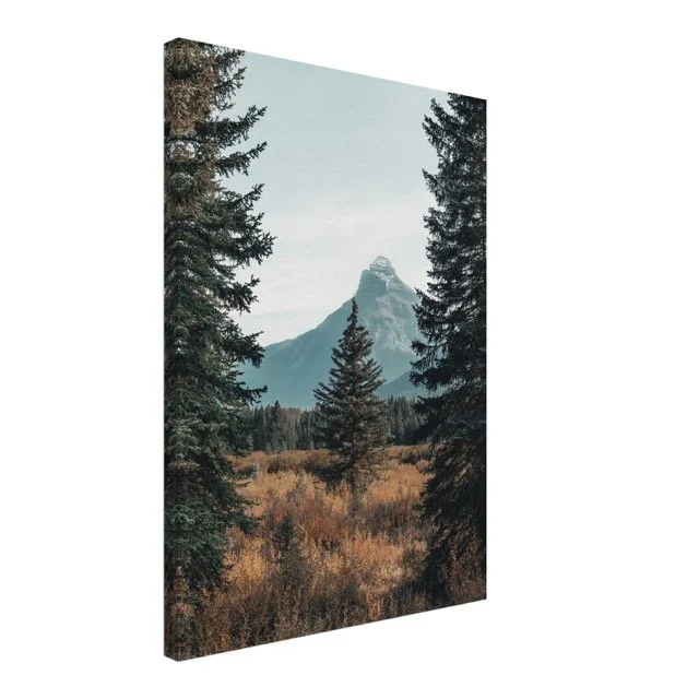 Mountain View Canvas .jpeg