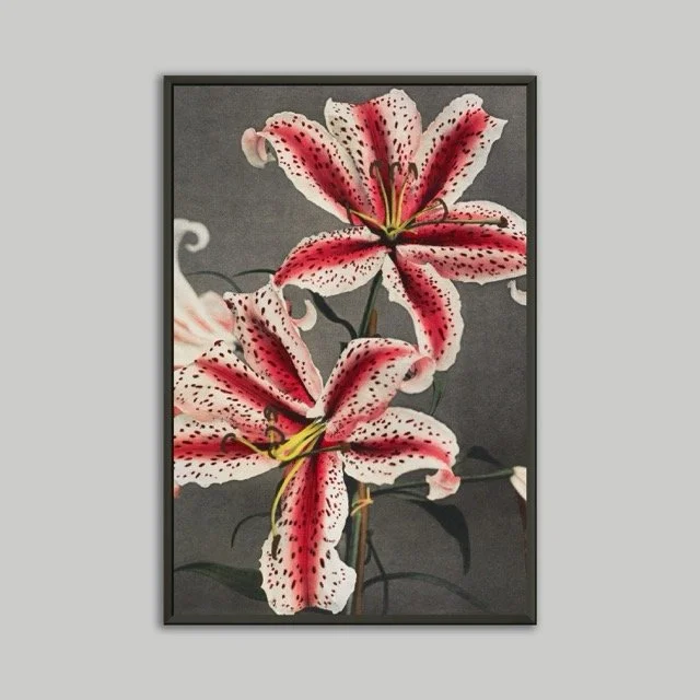 Lilly in Flower Metal Framed Poster