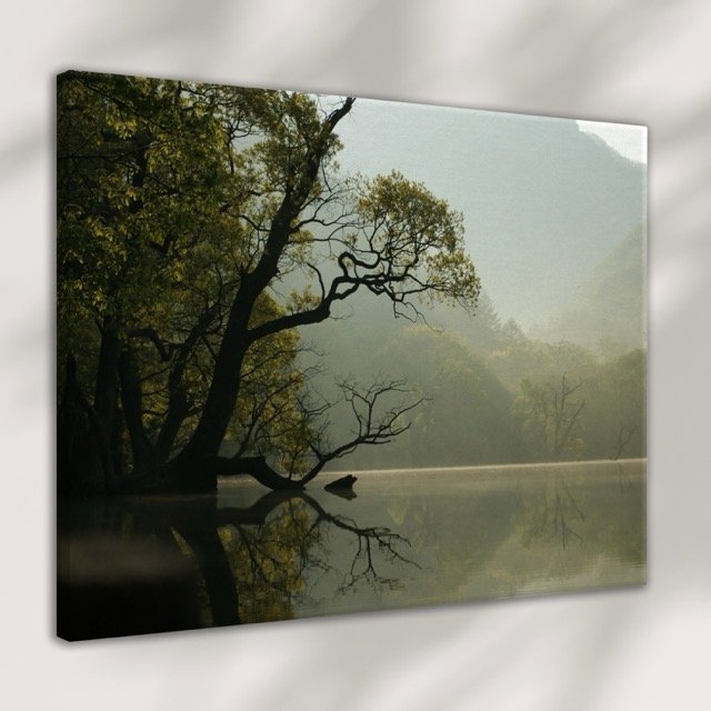 Misty River Mock .jpeg