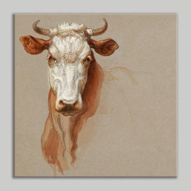 Cow Canvas