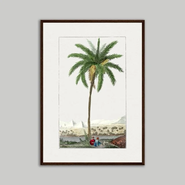 A2 Dark Framed Poster.jpeg