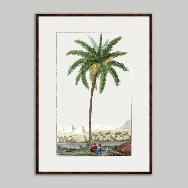 River Bank Nile Palm Wooden Framed Poster