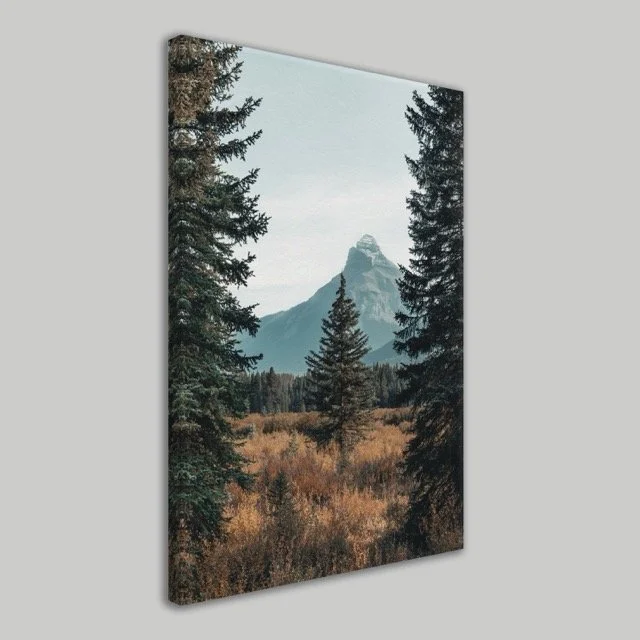 Mountain View Wall Canvas.jpeg