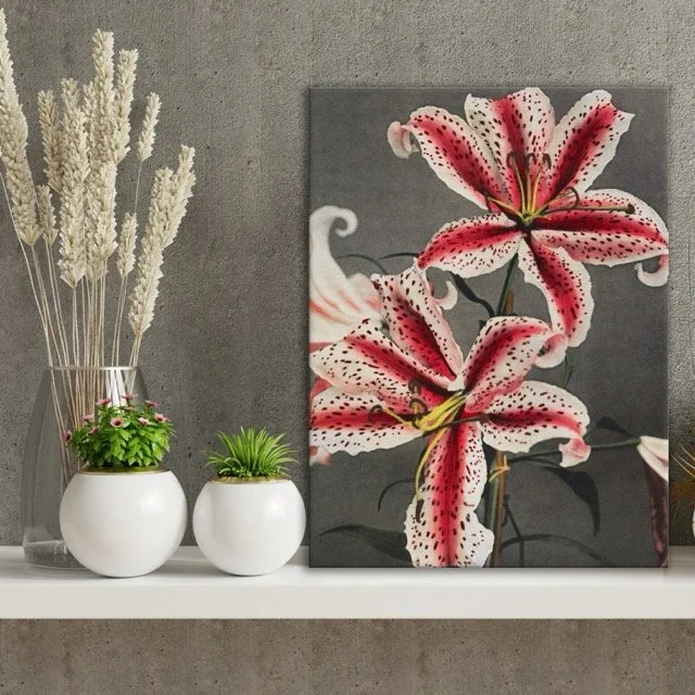 Lilly Canvas Print .jpeg
