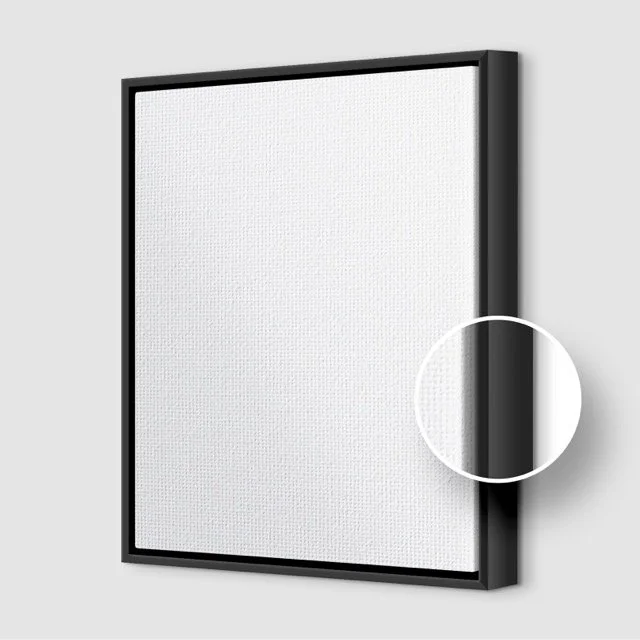 Canvas Frame Display 2.jpeg