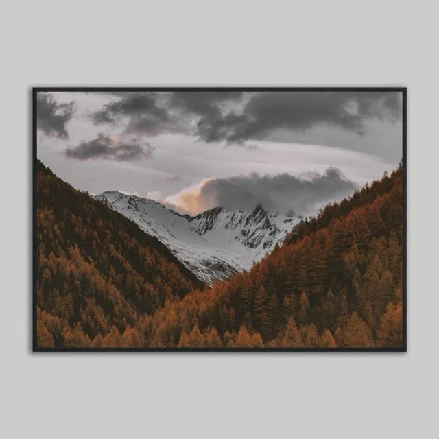 Snowy Black Print .jpeg