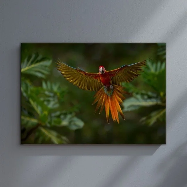 Bird Of Flight Canvas Mockup.jpeg