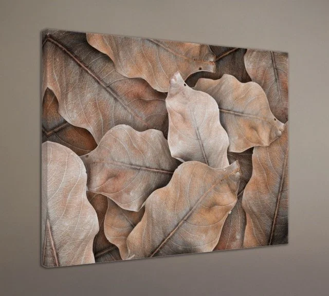 Dry Leaf Canvas Wall Canvas.jpeg