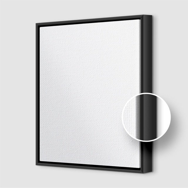 Canvas Frame Display 3.jpeg