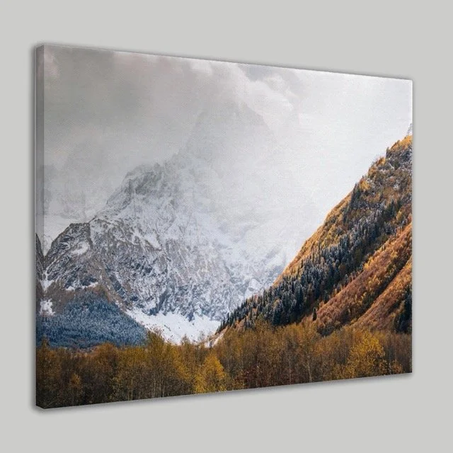 Frosty Wall Canvas .jpeg