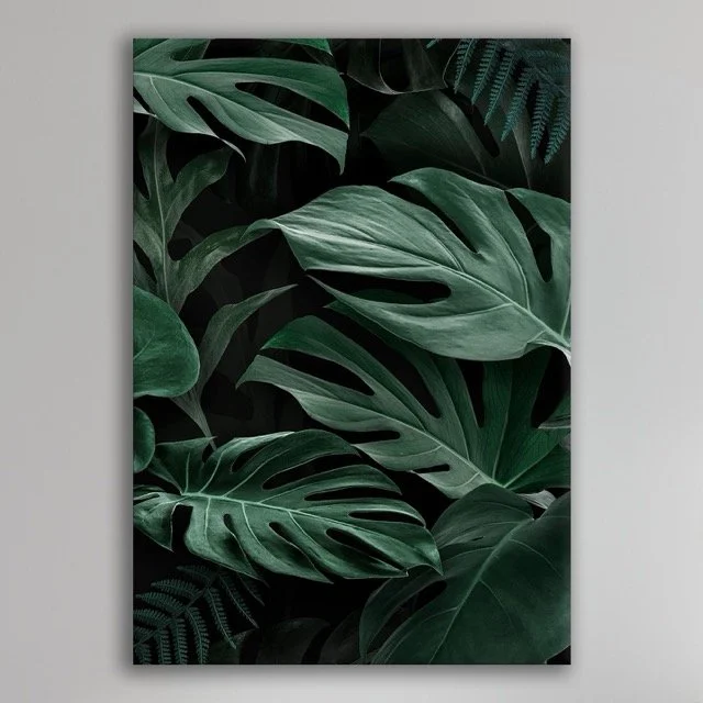 Folliage Plants Wall  .jpeg