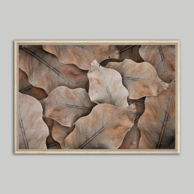 Dry Leaf Framed Canvas 60x90 cm / 24x36″