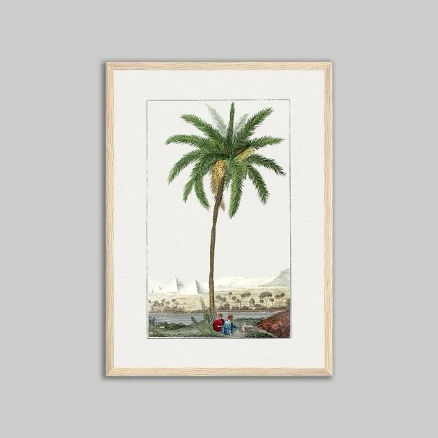 Natural framed Poster A3.jpeg