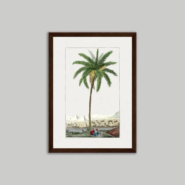 Dark Framed Poster A4.jpeg